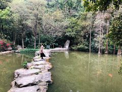 -云溪植物园