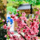 小岛斗牛家烤肉在一个小巷子里