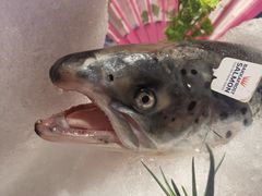 -文三酒肆自助放题(新街口友谊广场店)