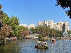 -荔湾湖公园
