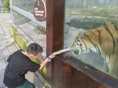 -横道河子东北虎林园