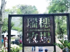 -瑞穗牧场