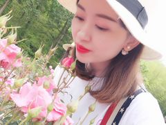 -亚龙湾国际玫瑰谷