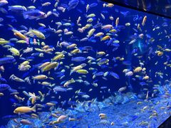 -成都浩海立方海洋公园