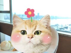 -武汉马哥孛罗酒店