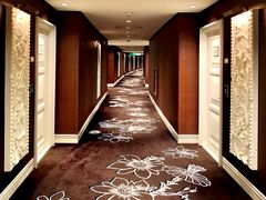 -拉斯维加斯永利酒店