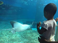 -北戴河圣蓝海洋公园