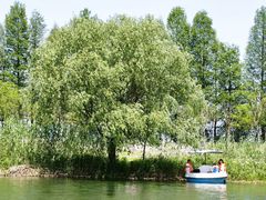 -太阳岛度假酒店