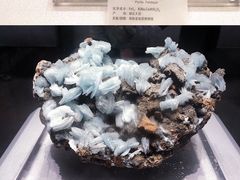 -湖南省地质博物馆