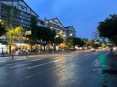 -陈麻婆豆腐(旗舰店)