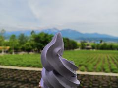 -富田农场