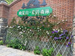 -幽岚山·童话森林