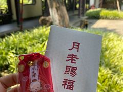 -杭州黄龙洞