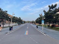 -日照海滨国家森林公园