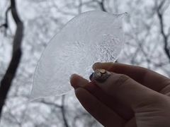 -紫金山天文台