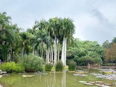 -中国科学院西双版纳热带植物园