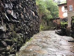 -南窖乡水峪村山情农家