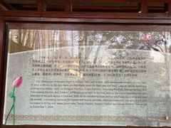 -瀛洲公园