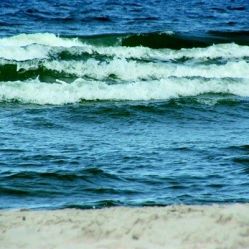 -薇兰专业脱毛连锁机构