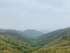-东明山森林公园