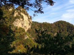 -王顺山国家森林公园