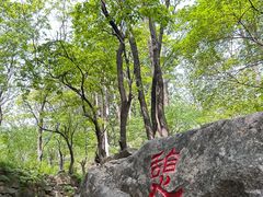 -玉渡山自然风景区