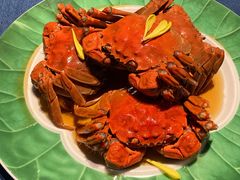 -老吉堂上海本帮菜(工体店)