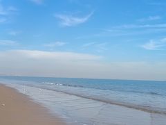 -日照海滨国家森林公园