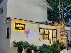 -树咖啡tree coffee