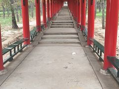 -乌素图国家森林公园