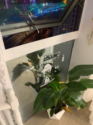 -첫번째 初见美学中心