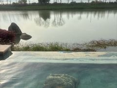 -苏州湾·王焰温泉