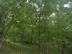 -藏龙百瀑风景区