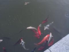 -渔堂公园餐厅·本帮菜(乐园路店)
