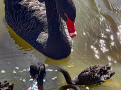 -鄂尔多斯野生动物园