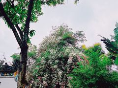 -深圳国际园林花卉博览园