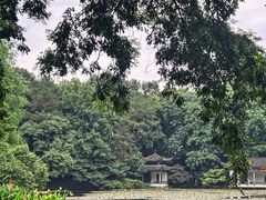 -杭州植物园