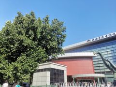 -河南自然博物馆