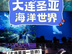 -大连圣亚海洋世界