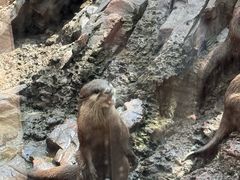 -长鹿旅游休博园