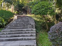 -火炉山森林公园