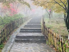 -岳麓山风景名胜区