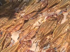 -星伦多自助料理(花山金鹰店)