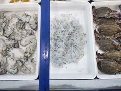 -苏启渔港(云南北路店)