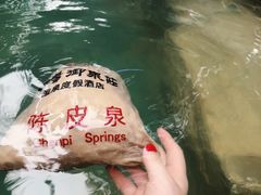 -深业半汤御泉庄温泉