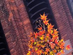 -苏州大学(天赐庄校区)