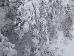 -西岭雪山大飞水景区