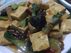 -特种渔场