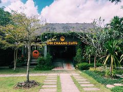 -DOI CHAANG Caffè Maesuai