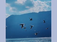 -海埂大坝
